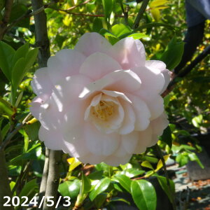  c@vĉ@2N}ؕc@3i9cm|bgj i엿tjyA`DAzy֕c coLzy~͑f  Ԗ؁zyց@c؁z