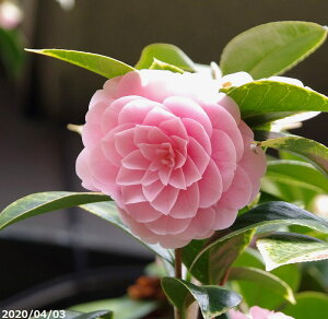  c@NiBj3N}ؕc 4.5i엿tjyA`DAzy֕c coLzyԁzy~͑fށzyԖ؁zy c؁z