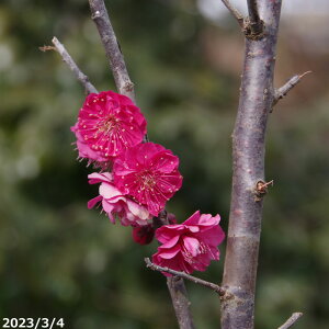  c@~@g~@g@ږؕc@8i엿tjyA ؁zy Ԗ؁zyc؁z