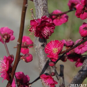 yiE_No.3318ziNo.868j؁@c؁@~@g~ 10 1.8mi엿tjyA ؁zy Ԗ؁zyc؁z