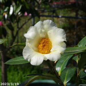 yN[|sI `9/25z c@̌O 3N}ؕc 4 i엿tj yA`DAzy֕c coLzyԖ؁zy c؁z