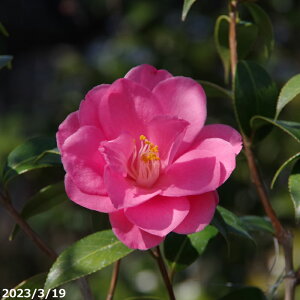  c@@ 4N}ؕc 5 i엿tjyA`DAzy֕c coLzy~͑fށzyԁzy~j~ czyԖ؁zy c؁z