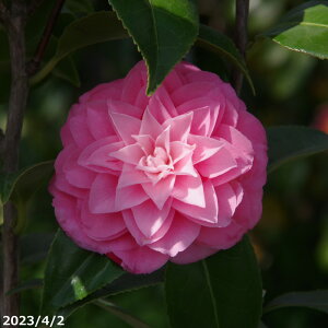  c@Ði 3N}ؕc 4 i엿tj yA`DAzy֕c coLzy~͑fށzyԁzy~j~ czyԖ؁zyrXPcoL ̏zy c؁z