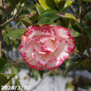 m c@}[Kbgf[rX }5Nc 6 i엿tj yA`DAzy֕c coLzyԖ؁zy c؁z _kki