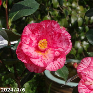  c@ng iBj3N}ؕc 5i엿tjyA`DAzy֕c coLzyԁzy~͑fށzyԖ؁zy c؁z