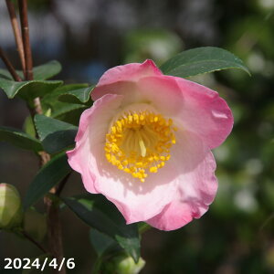  c@V 4N}ؕc 5i엿tjyA`DAzy֕c coLzyԁzy~͑fށzyԖ؁zy c؁z _kki