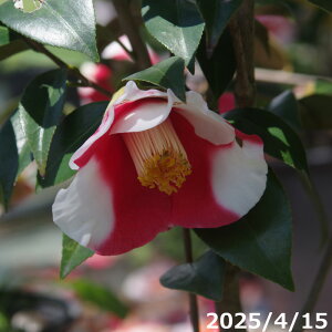  c@ 8i엿tj yA`DAzy֕c coLzyA ؁zy Ԗ؁zyԁzy c؁z