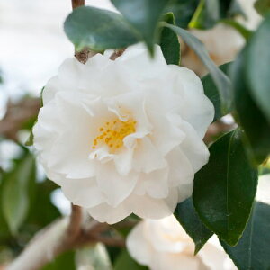  c@ iBj4N}ؕc 5i엿tjyA`DAzy֕c coLzyԁzy~͑fށzyԖ؁zy c؁z