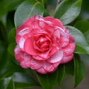  c@e~ 6N 7i엿tjyA`DAzy֕c coLzyԁzy~͑fށzyԖ؁zy c؁z