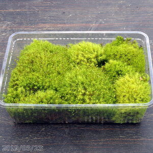 {[̂^}SP@iLjpbNiOa27.5cm×19.3cmjyÃRPzyۃeEzyp_EzyroEzyDޑہzyċxϑϐ̃RPz