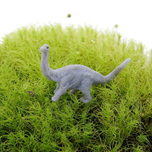 ۂ̃tBMA@ApgTEX y ۖ~ eE roE ۃeE RP  zylR|XΉisjz