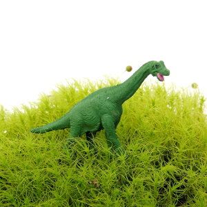 ۂ̃tBMA@uLITEX y ۖ~ eE roE ۃeE RP  zylR|XΉisjz