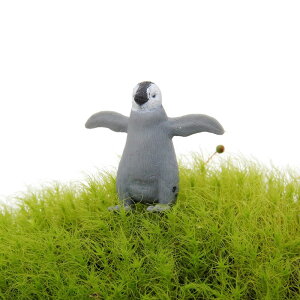 ۂ̃tBMA@RyM y ۖ~ eE roE ۃeE RP  zylR|XΉisjz