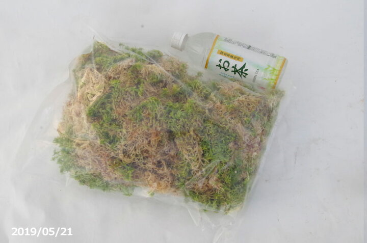 在庫一掃 Hanhu 6l 水苔 圧縮水苔 ミズゴケ 天然採集 乾燥水苔 蘭や山野草 観葉植物の栽培に 70g Dentempsdfw Com