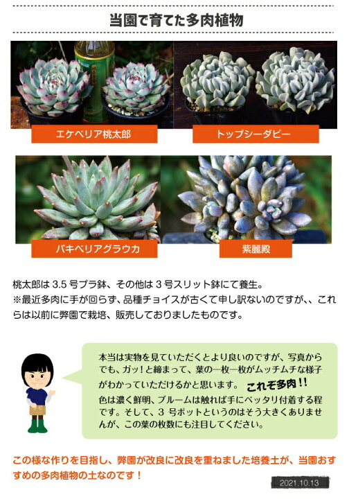 楽天市場 多肉植物用小粒化成肥料 長期 500g 石田精華園 楽天市場店 楽天市場 多肉植物用小粒化成肥料 長期 500g 石田精華園 楽天市場店