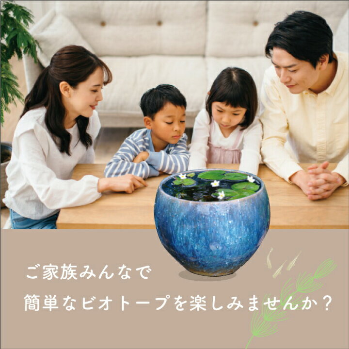 楽天市場】信楽焼 睡蓮鉢 陶器 メダカ鉢 ブルーガラス 丸水鉢8号（24cm 