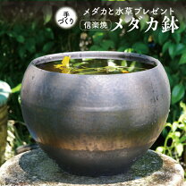 楽天市場】メダカ 水槽（植木鉢・プランター｜ガーデニング・農業 