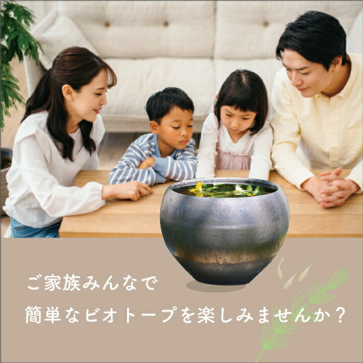 楽天市場】【※キズ有の物には割引あり】信楽焼 睡蓮鉢 陶器 メダカ鉢 