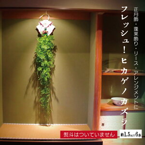 y\̔ 12{蔭ztbVI qJQmJY@1.5m×6{yNX}X  [X ޗ  H 󗈏 |H |HzyNX}X  VN a 