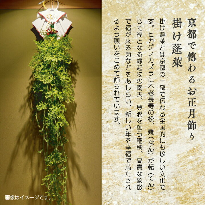 楽天市場】大容量！ヒカゲノカズラ 大箱 1m-1.5m 混合 25本前後 