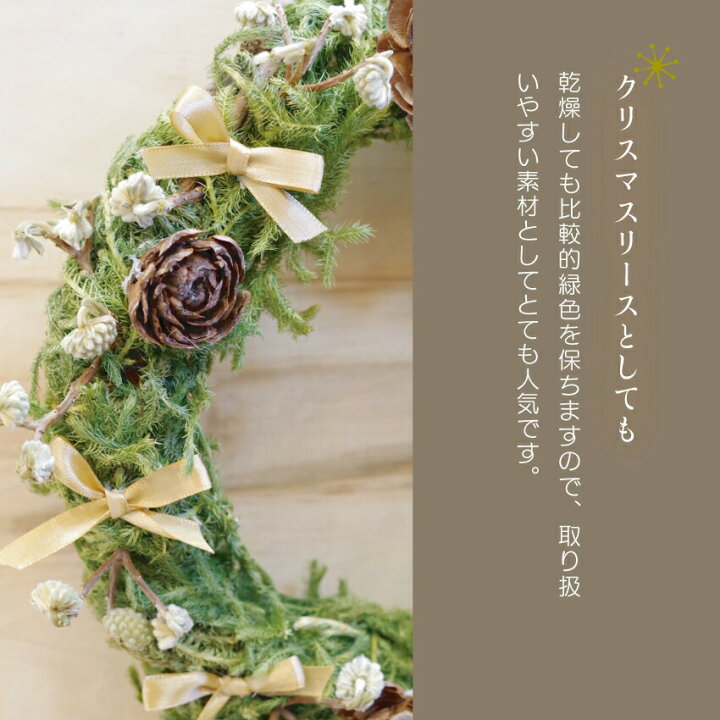楽天市場】大容量！ヒカゲノカズラ 大箱 1m-1.5m 混合 25本前後 