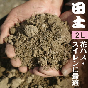 田土 2L(ビニール袋入り 約2.3kg〜2.5kg) 【水生植物の土】【花ハスの土・睡蓮の土・スイレンの土・姫スイレンの土・姫睡蓮の土・ヒメスイレンの土・姫睡蓮苗の土・花はすの土】【用土