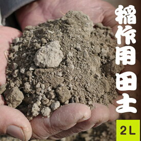 稲作用　「田土」 　約2L　 【用土・肥料】【荒木田・田んぼの土】【稲作・お米栽培用】