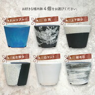 信楽焼 植木鉢 陶器 掛分シリーズ 3.3号（直径10cm 高8cm）選べる4個組（サナサービス）【送料無料】【山…