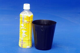 楽天市場 ビニールポットの通販 楽天市場 ビニールポットの通販