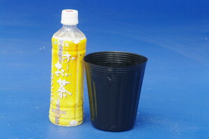 yő50%OFFN[|sIzAp@O||bgirj[|bgj4[(12cm)@10|bgyI_JEnQVEApzyqXCzyAؔz