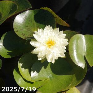 yő50%OFFN[|sIzуXC@c@RRfBAi^jy엿tzIBio[eB[[Wj10g2܁@yAEzytAzy@Ez