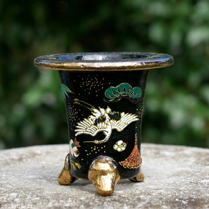 楽天市場 京楽焼 植木鉢 愛楽園製 万年青鉢 宝づくし祝い文様 3 5号 現品no 00 古典園芸植物鉢 伝統園芸植物鉢 京楽鉢 楽鉢 錦鉢 おもと オモト 送料無料 石田精華園 楽天市場店