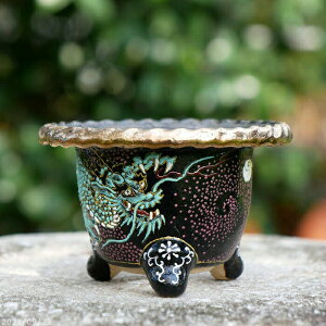 京楽焼 植木鉢 愛楽園製 富貴蘭鉢 縄縁 青龍紋 3.3号 (現品No.0101)【古典園芸植物鉢 伝統園芸植物鉢】【京楽鉢 楽鉢 錦鉢】【風蘭 フウキラン ふうきらん】【送料無料】