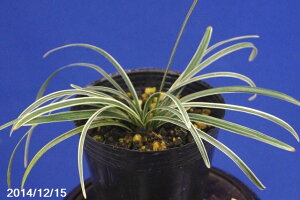 IIoWmqQ@W@3i9cm|bgjyRnȀhz yR쑐z