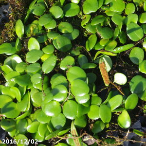 }d^@SSpbN@y~/V_A/eE/R쑐/ȂNz