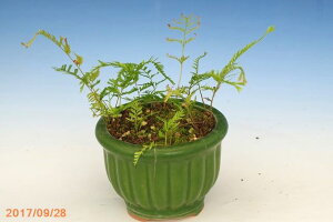 yiz@qCkr@4@yNo.8004zyV_AzyRnȀhzyeEޗzylG̎R쑐z