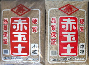 dԋʓy @Iׂ2܃ZbgiEj 16L×2܁@yzyANAEEeEEo_Ezy_J̒yzy򉻁zypyE엿z