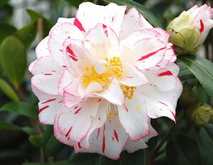  c vZXqi䯖j 2N}ؕc@3i9cm|bg) i엿tjyA`DAzy֕c coLzy~͑f  Ԗ؁zyց@c؁z kb33