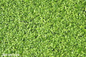 yő50%OFFN[|sIzELNT@4@yVAzyAz _mks