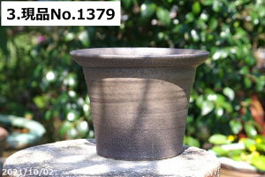 【クーポン発行中!〜10/30】信楽焼 植木鉢 手びねり(ロクロ引き) 金彩ビードロリムポット(L) 6号 【山野草鉢 多肉植物鉢 サボテン鉢 盆栽鉢 果樹苗 アガベ 塊根植物】