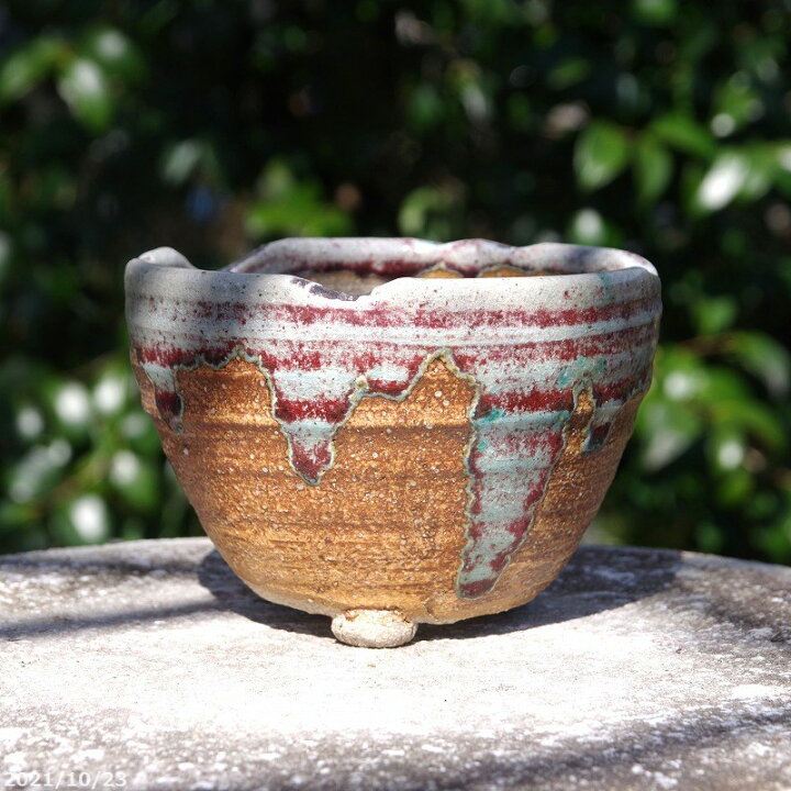楽天市場】信楽焼 植木鉢 陶器 信楽焼伝統工芸士 作家 藤原順 作（古仙  