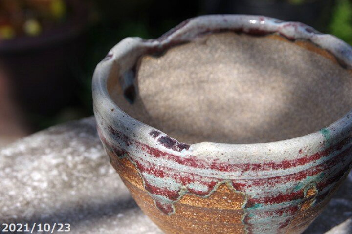 楽天市場】信楽焼 植木鉢 陶器 信楽焼伝統工芸士 作家 藤原順 作（古仙  