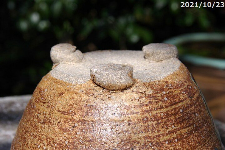楽天市場】信楽焼 植木鉢 陶器 信楽焼伝統工芸士 作家 藤原順 作（古仙  