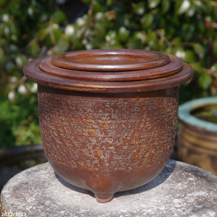 楽天市場 信楽焼 植木鉢 陶器 伊羅保釉松皮 観音竹鉢 3つ組セット 7号 6号 5号 サナサービス 山野草鉢 多肉植物鉢 サボテン鉢 盆栽鉢 花木樹木苗 果樹苗 アガベ 塊根植物 珍奇植物 ビザールプランツ 蘭ラン科植物 観葉植物 Kd V 石田精華園 楽天市場店