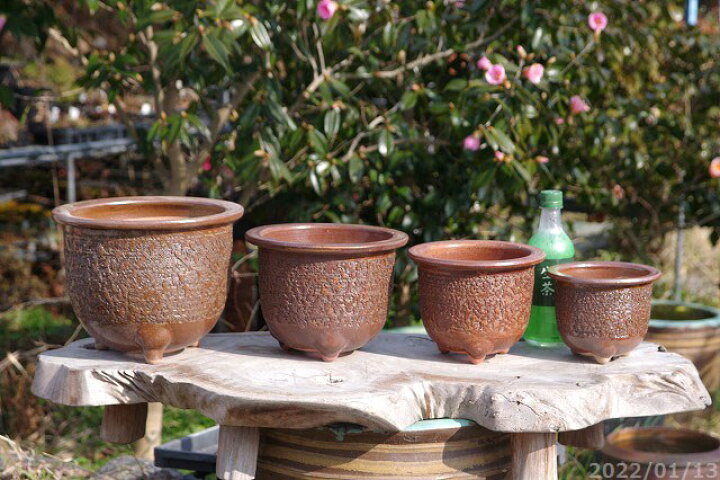 楽天市場】【11%OFFクーポン対象 〜11/27】信楽焼 植木鉢 陶器 伊羅保  