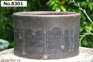 yő50%OFFN[|sIzMy Aؔ@Iׂ@ʃr[h@ؗ 6iOa18cm 10.5cmj TiT[rX@ yR쑐 A T{e ~͔ Ԗ؎ؕc ʎc AKx 