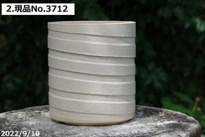 yN[|sI`11/11zMy Aؔ@Iׂ@-~L[zCg(E) 4iOa12.5cm 13.5cmjTiT[rXyR쑐 A T{e ~͔ ʎc AKx 򍪐Az _wu