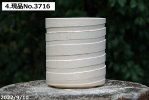 yN[|sI`10/30zMy Aؔ@Iׂ@-~L[zCg(E) 4iOa12.5cm 13.5cmjTiT[rXyR쑐 A T{e ~͔ ʎc AKx 򍪐Az _wu