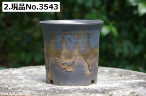 yN[|sI`11/11zMy Aؔ т˂(N) Iׂ ʃr[hbp^(B)@3.5iOa10.5cmj TiT[rX yR쑐 A T{e ~͔ ʎc AKx 