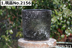y10%OFFN[|Ώ `9/11zIׂ q(A) @8 (Oa24cm 23.5cm) TiT[rX@My AؔyzyR쑐 A T{e ~͔ ʎc AKx 򍪐A Af